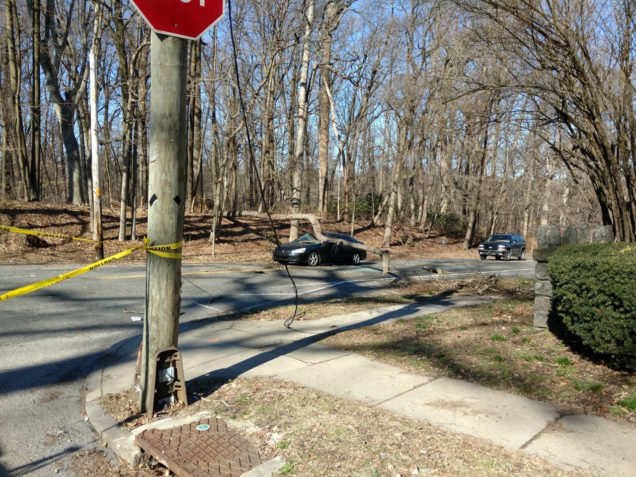 IMG_20180305_093015805.jpg
