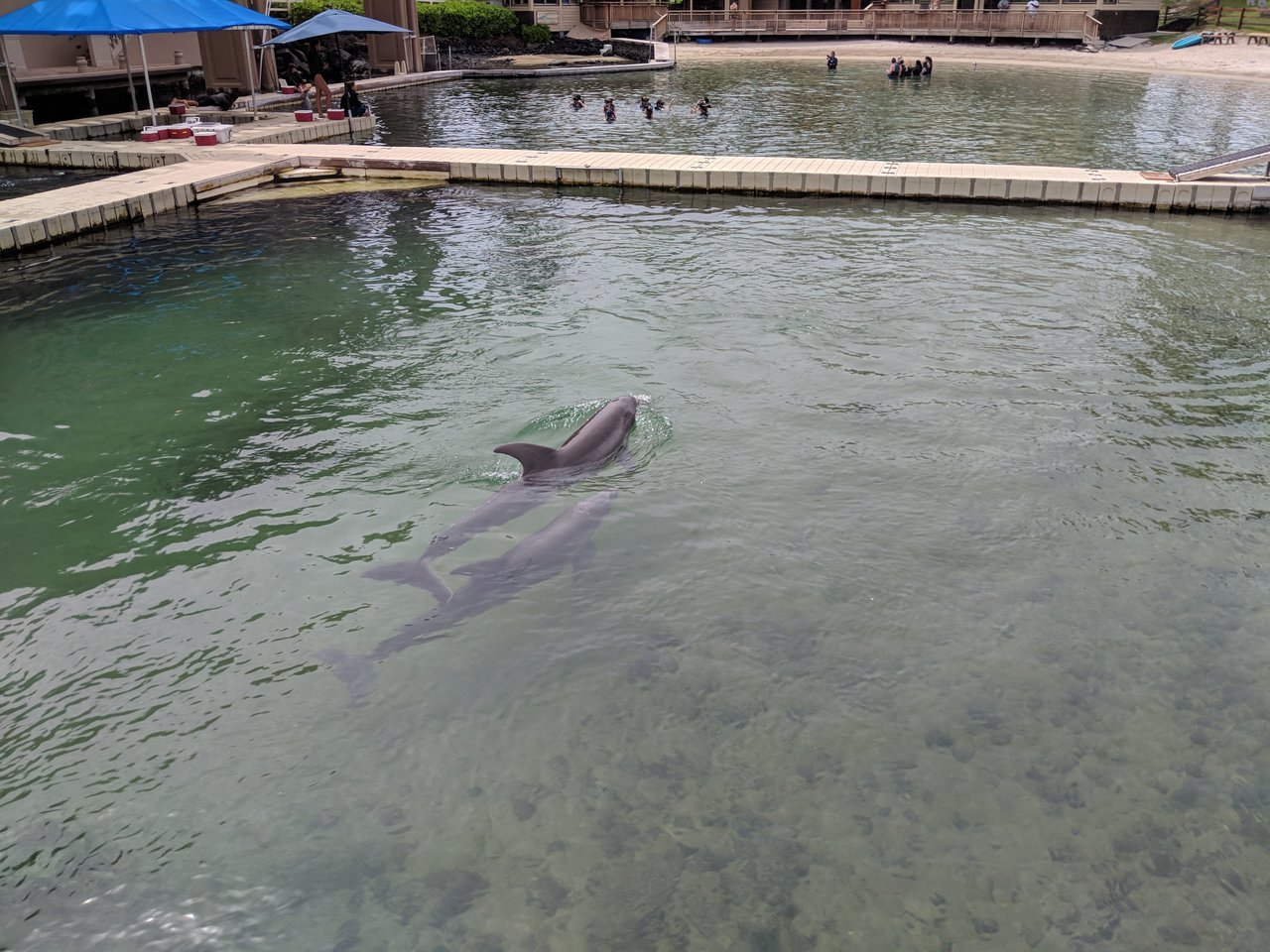 IMG_20180310_140730.jpg