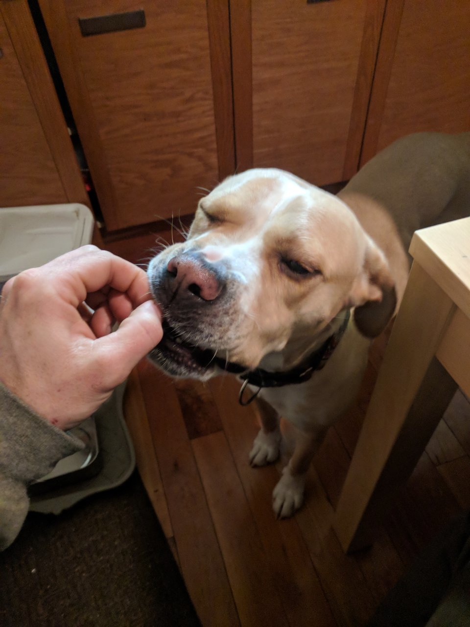 IMG_20180312_063624.jpg