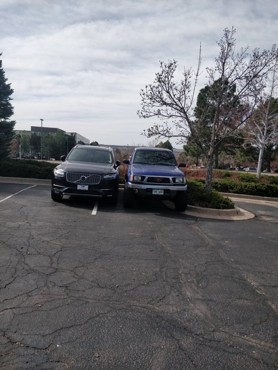 IMG_20180405_100851.jpg