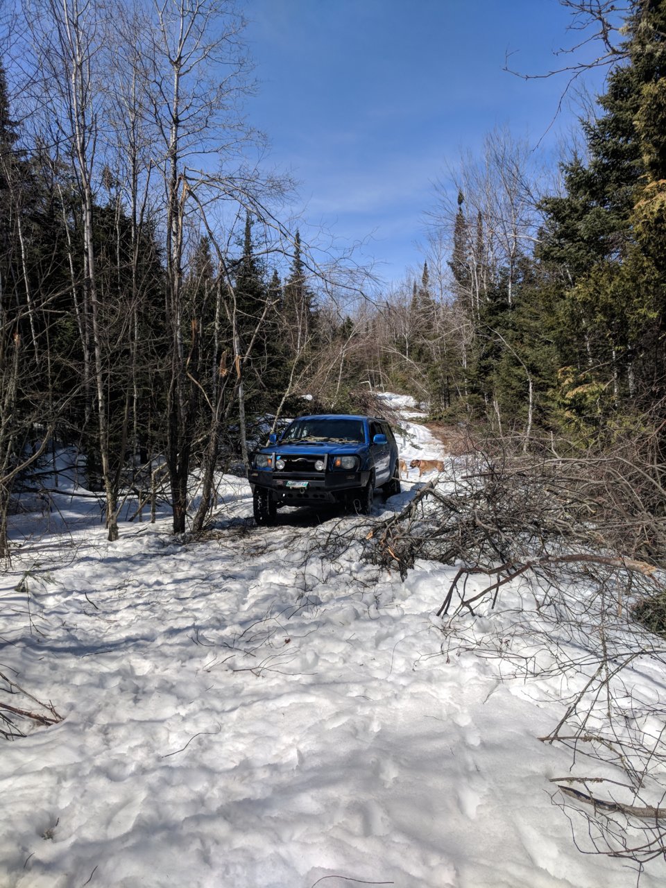 IMG_20180418_124453.jpg