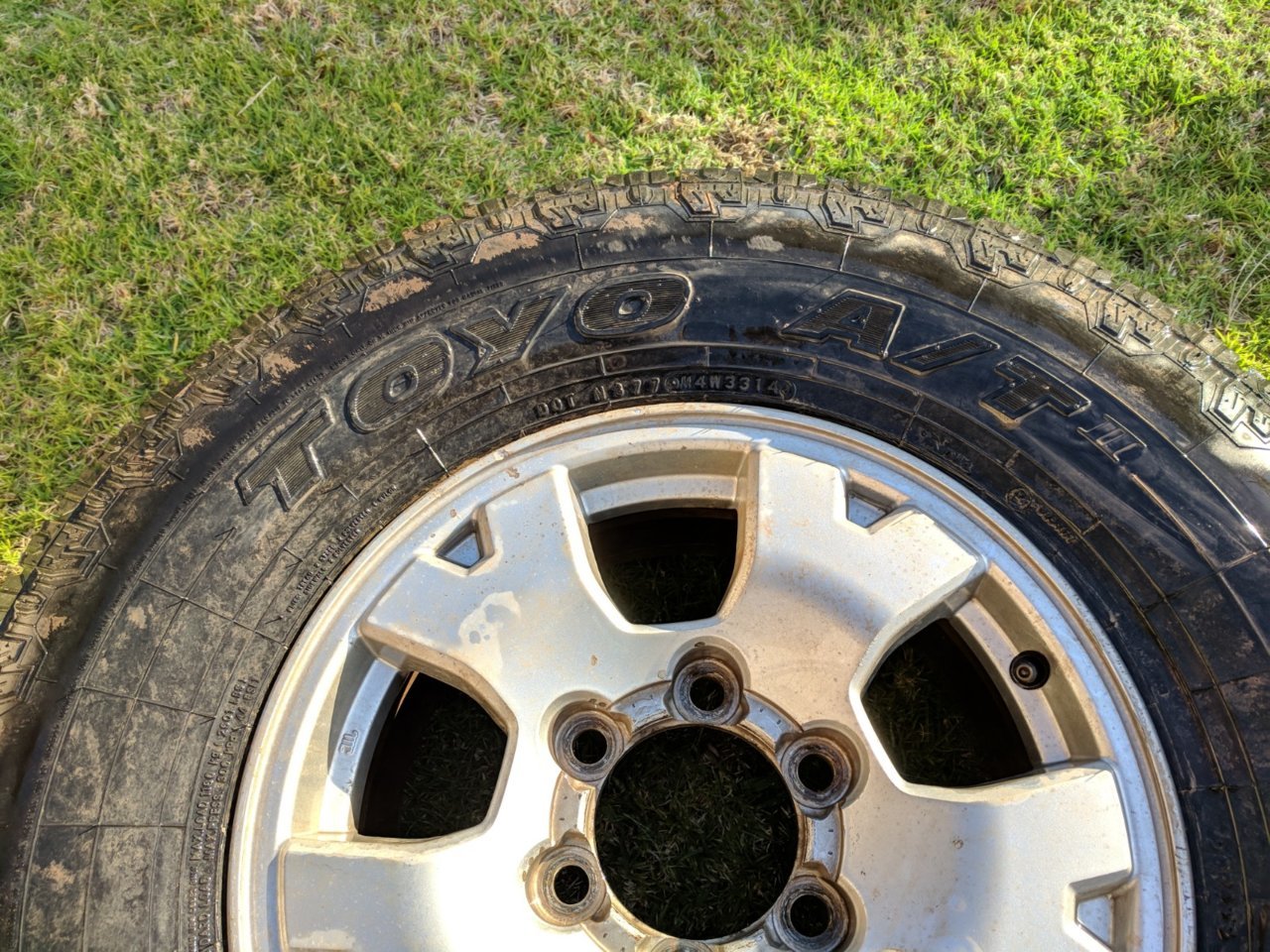 IMG_20180426_183005.jpg