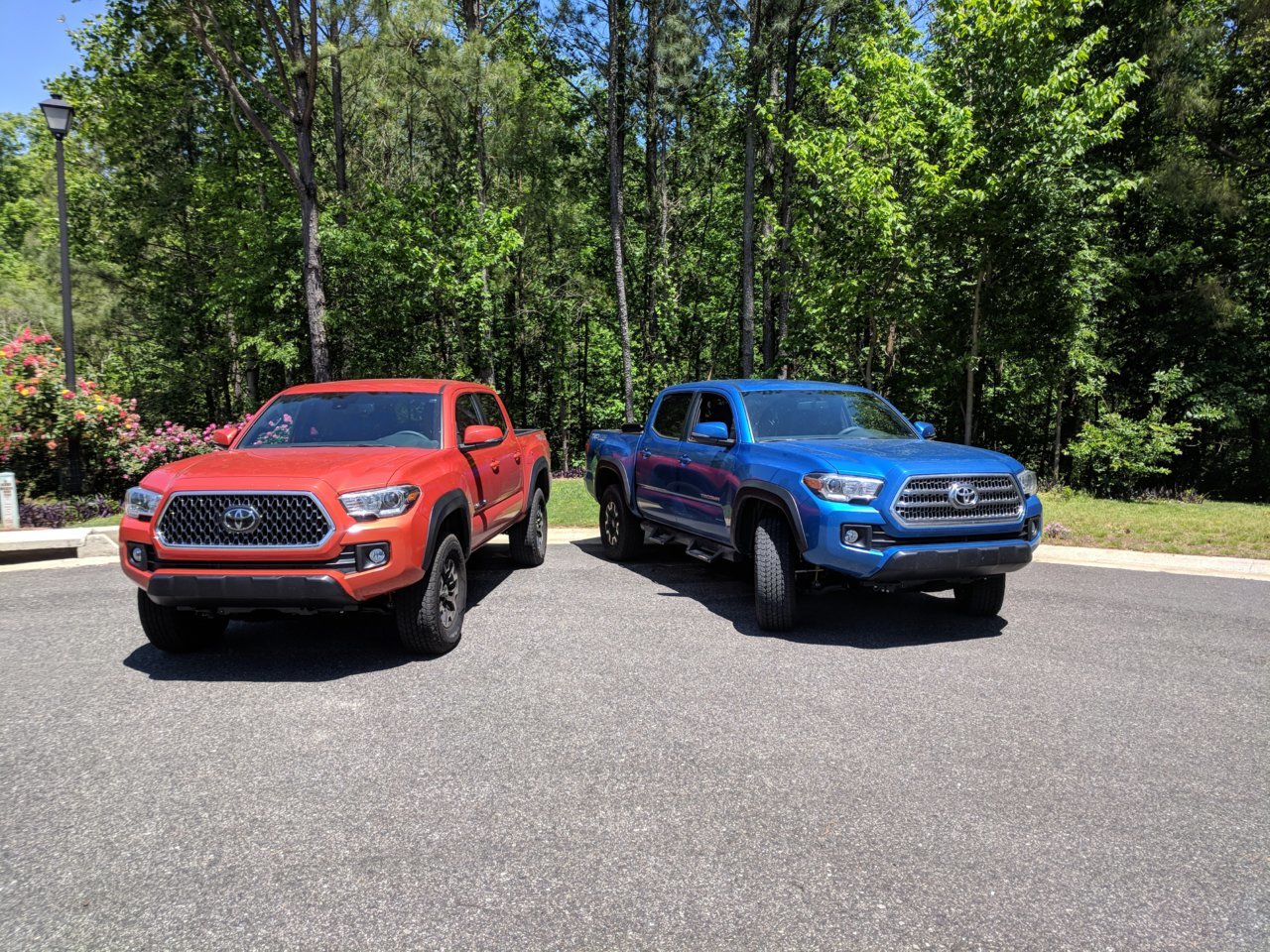 IMG_20180429_130542.jpg