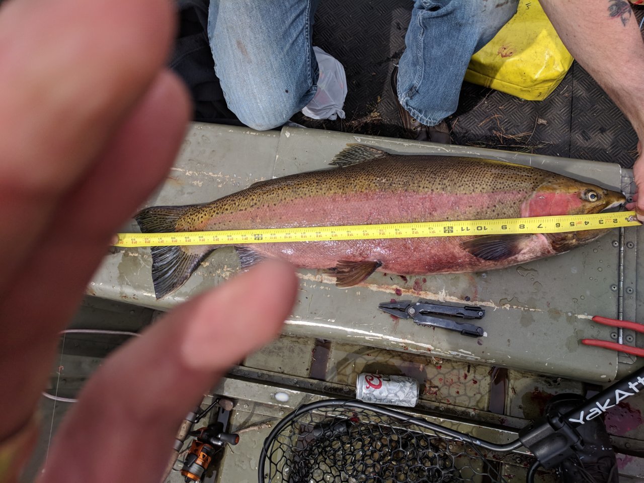 IMG_20180501_152732.jpg