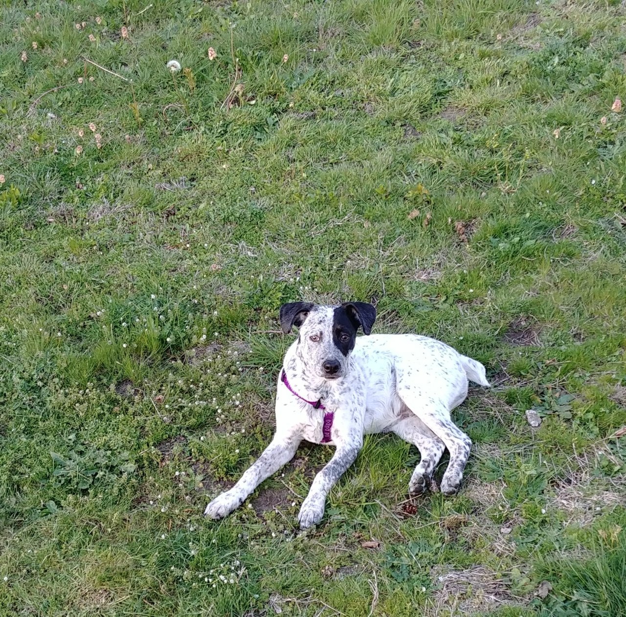 IMG_20180502_194651.jpg