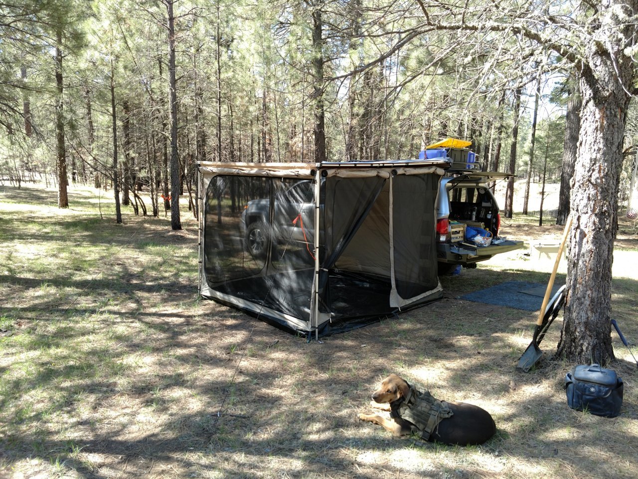 IMG_20180505_091157884.jpg