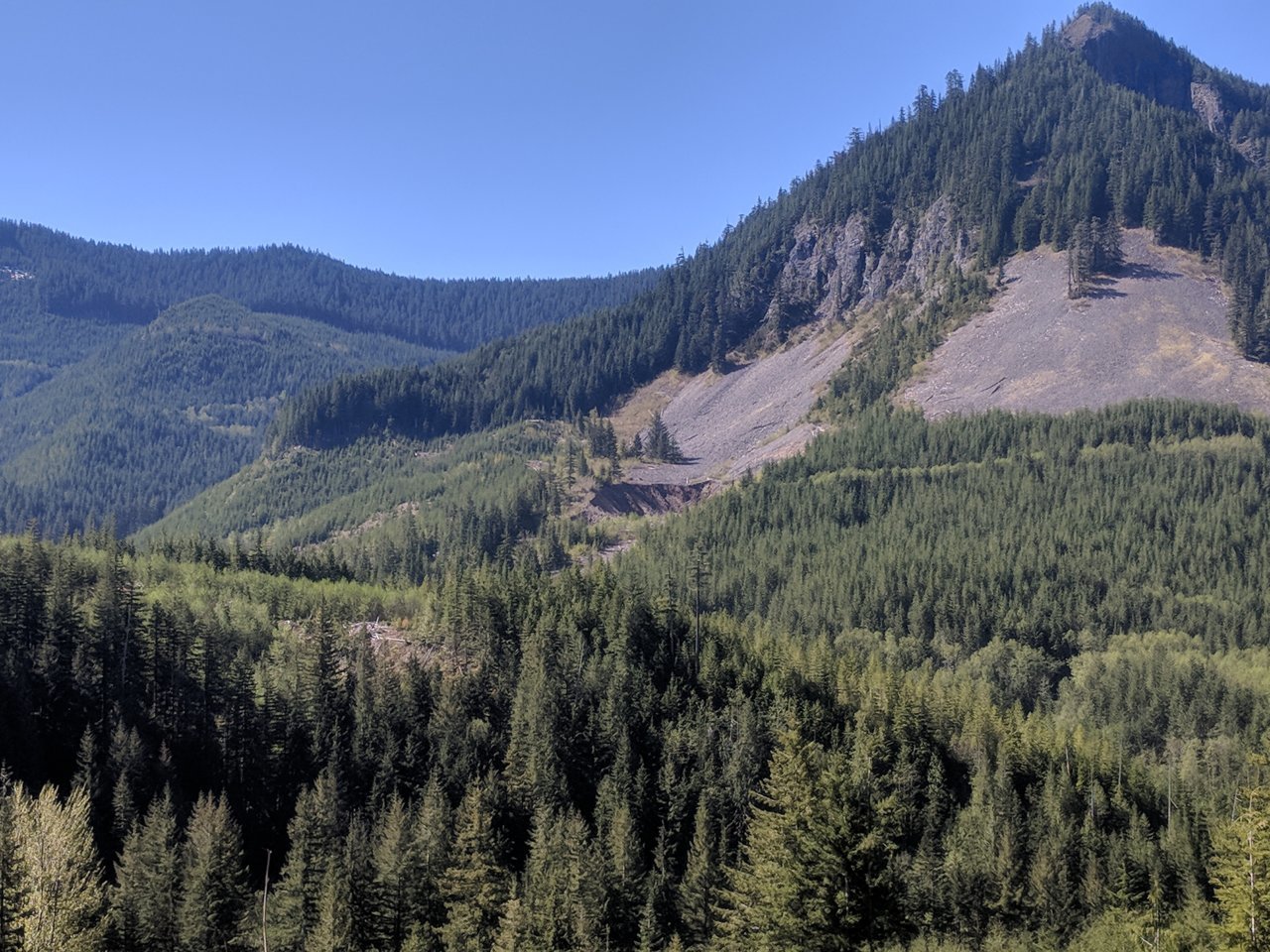 IMG_20180512_102218.jpg