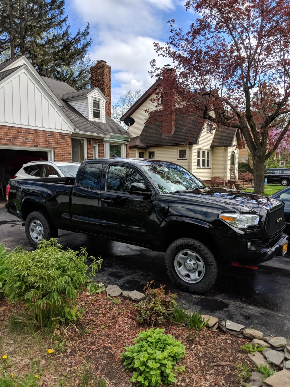 IMG_20180513_161731.jpg