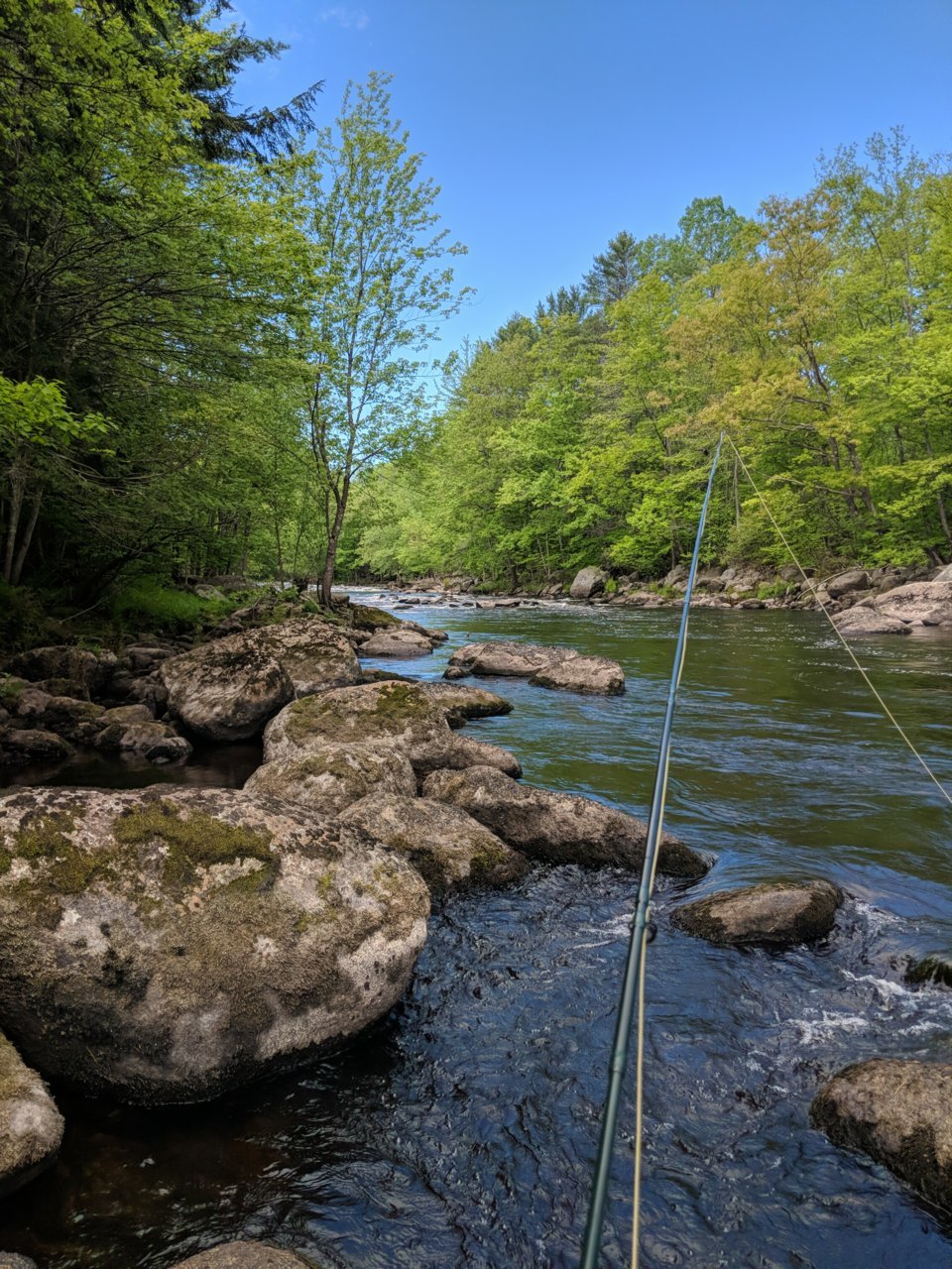 IMG_20180524_103611.jpg