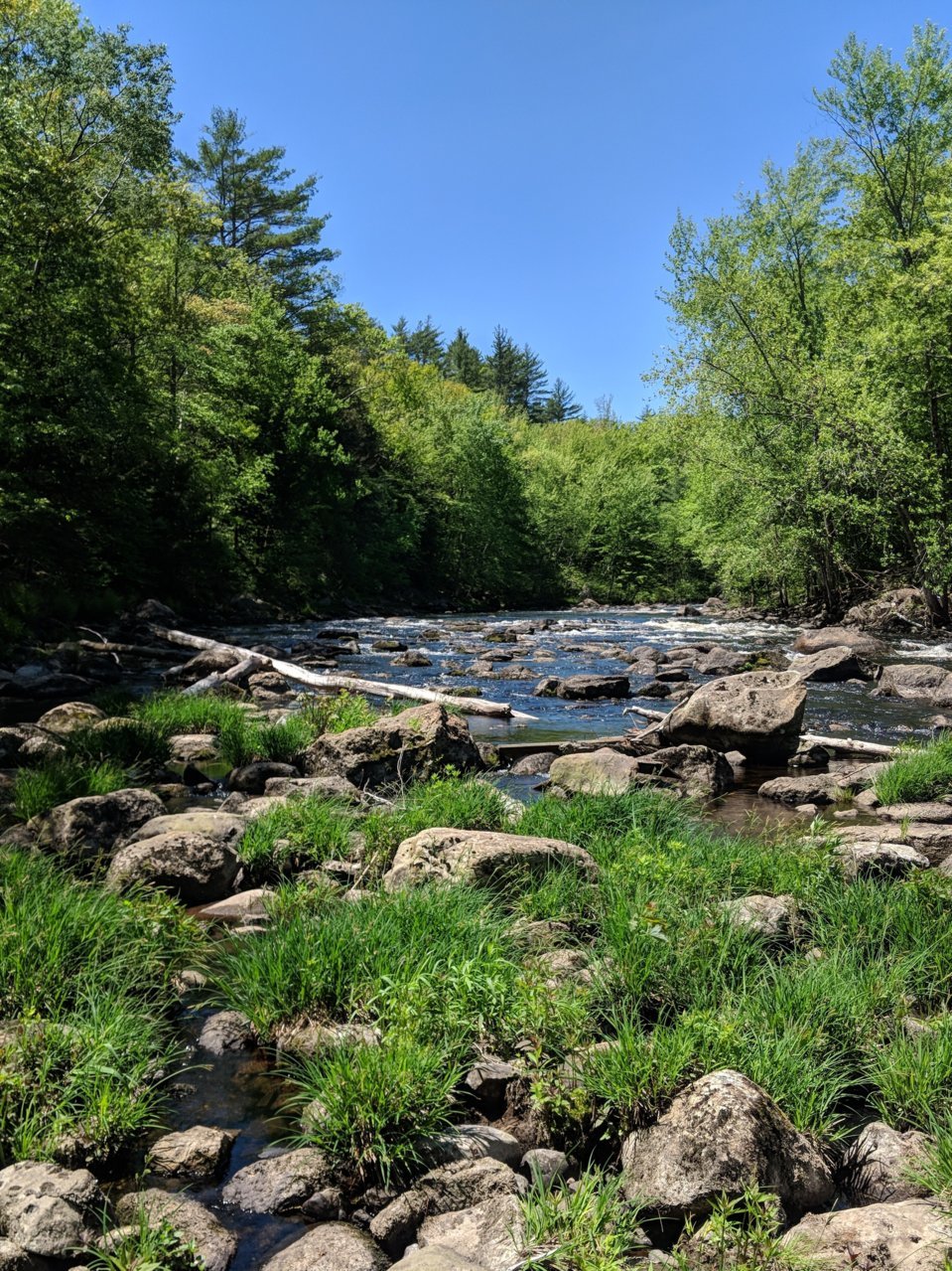 IMG_20180524_114911.jpg
