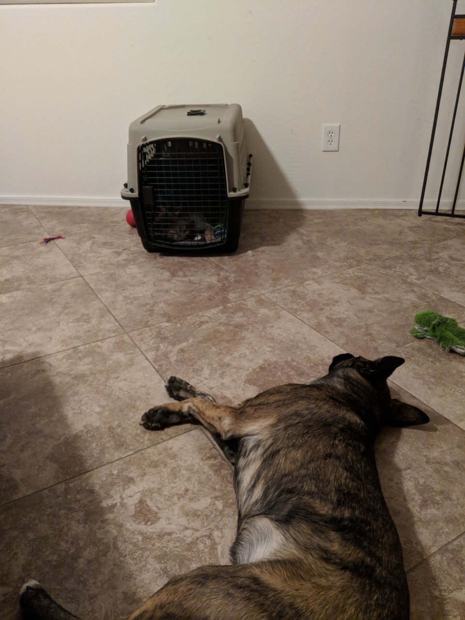 IMG_20180526_213106.jpg