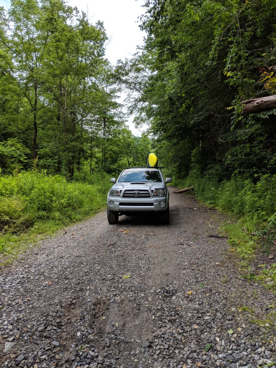 IMG_20180602_085007.jpg