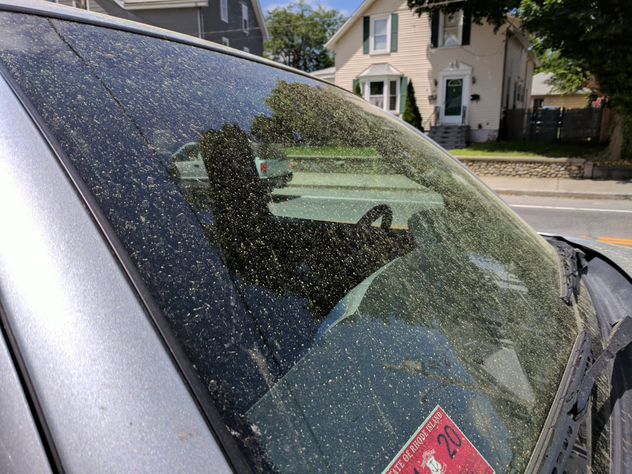 IMG_20180603_121332.jpg