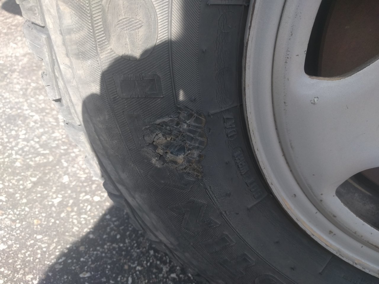 IMG_20180605_160056.jpg