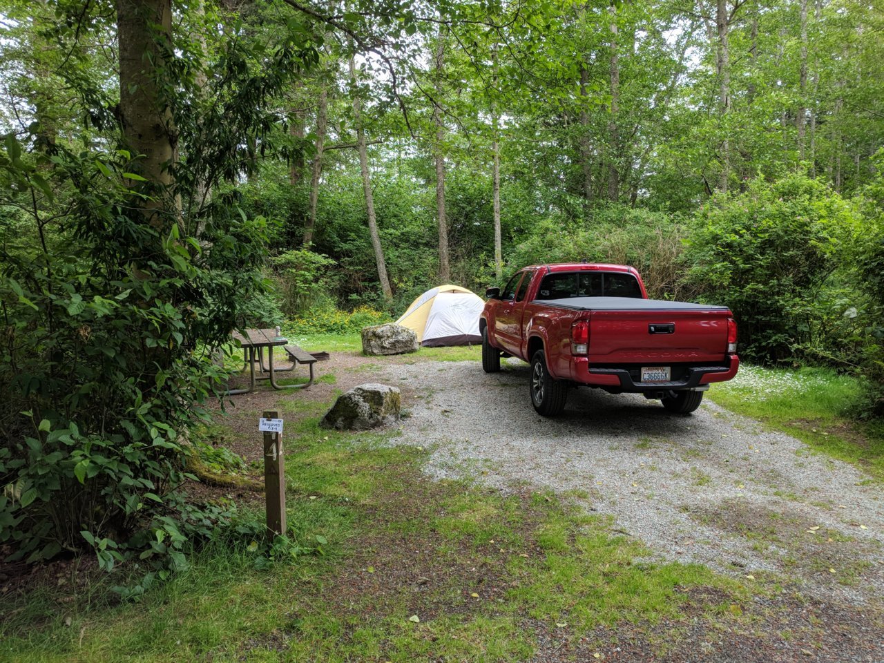 IMG_20180608_124138.jpg