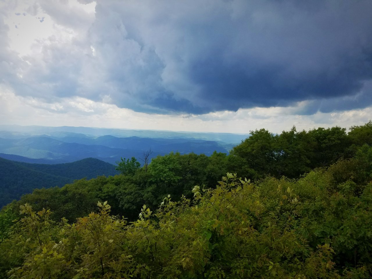 IMG_20180610_110244.jpg