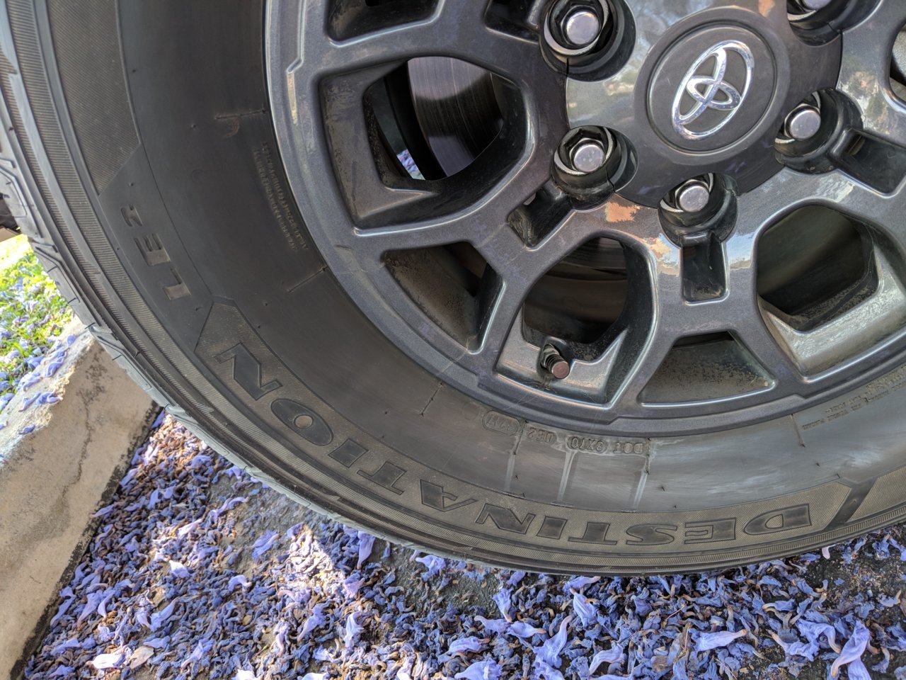 IMG_20180613_105518.jpg