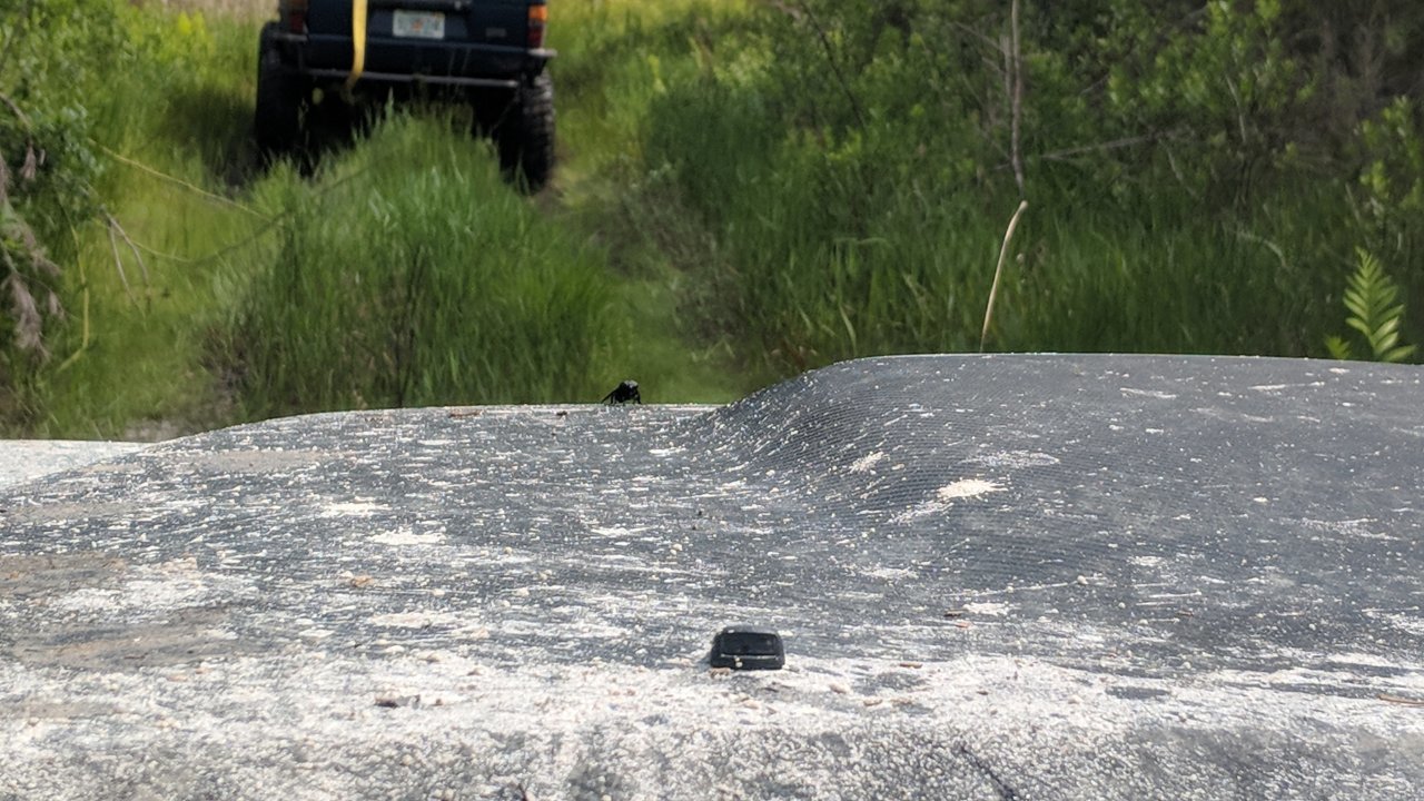 IMG_20180616_105807.jpg