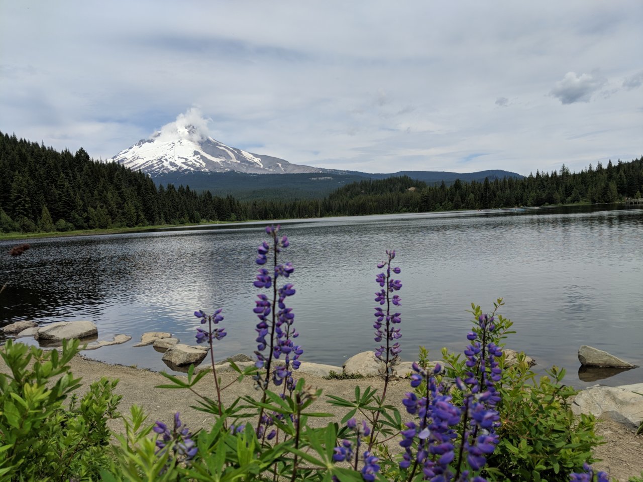 IMG_20180618_133303.jpg