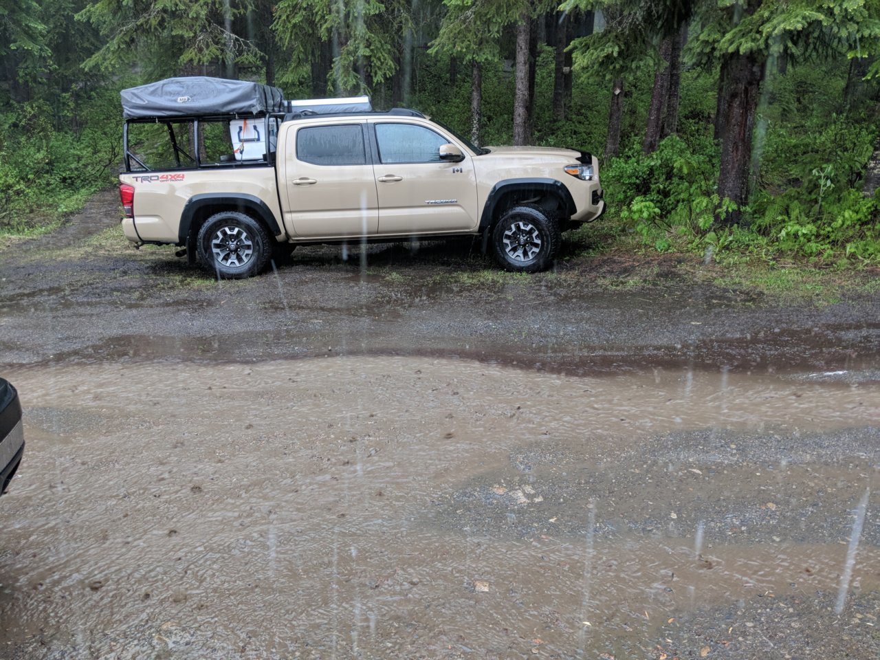 IMG_20180621_165254.jpg