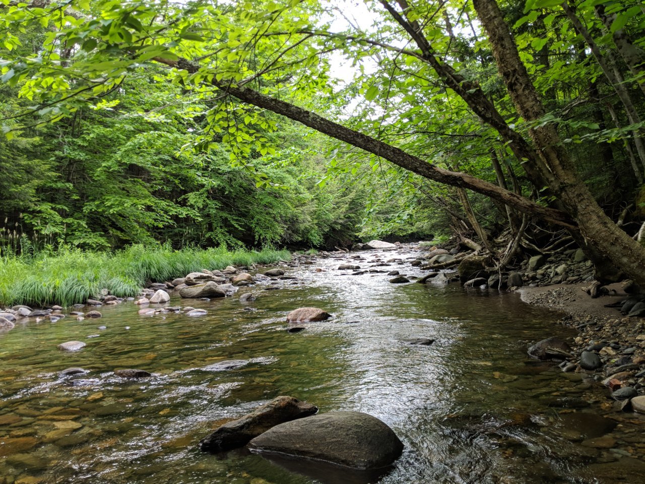 IMG_20180623_075710.jpg