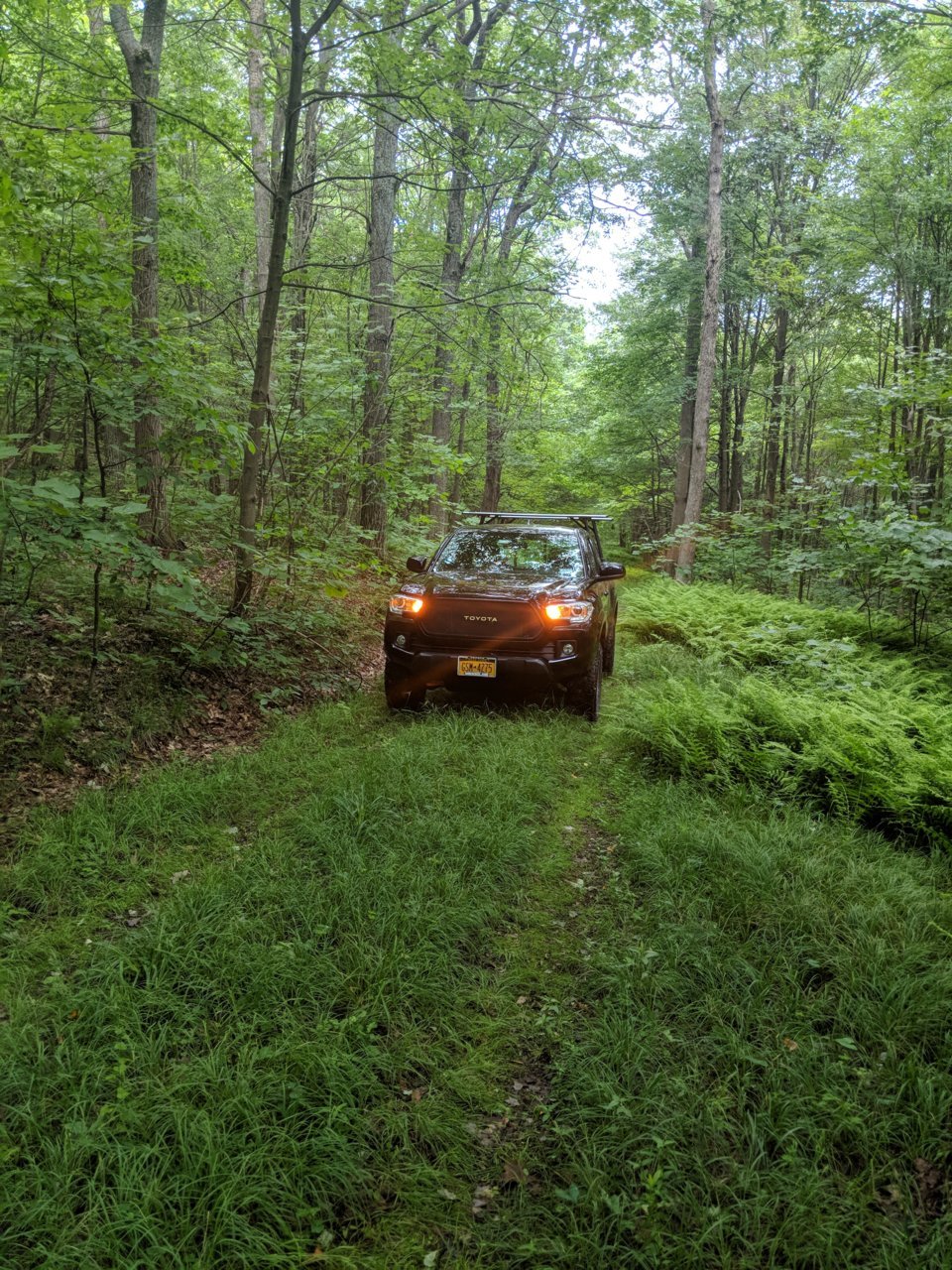 IMG_20180623_102444.jpg