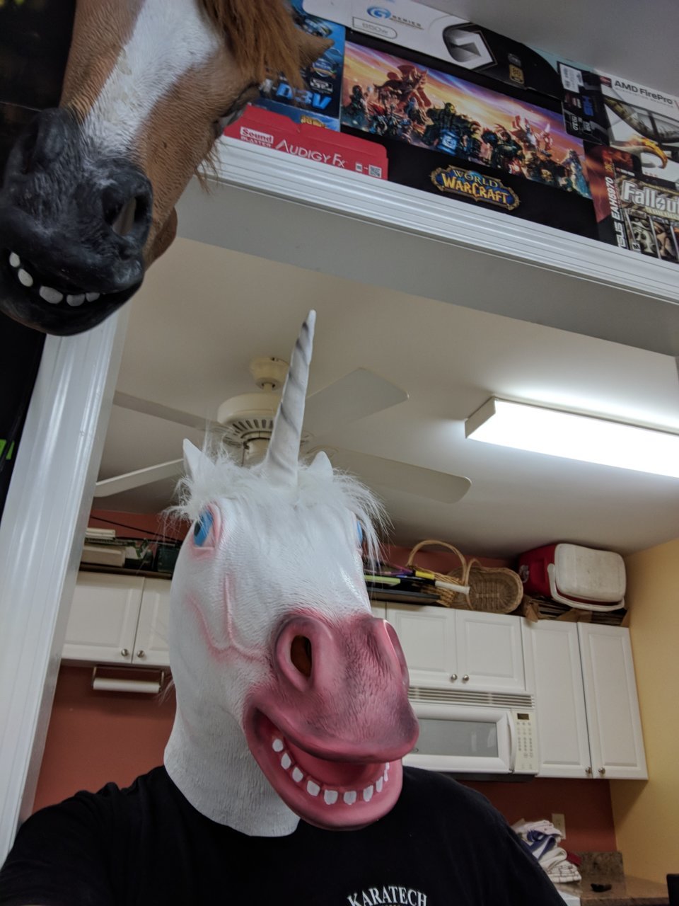 IMG_20180623_102509.jpg