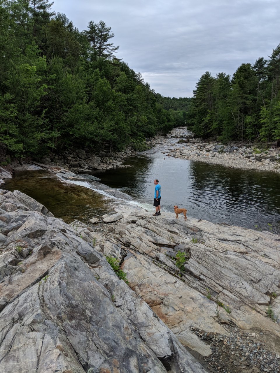 IMG_20180623_120544.jpg