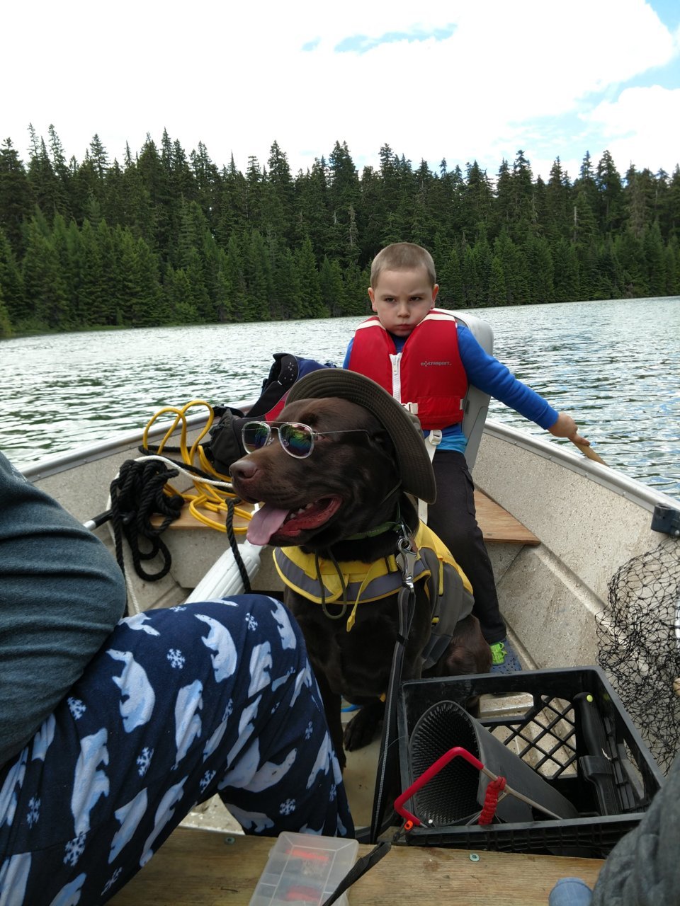 IMG_20180625_111415798.jpg
