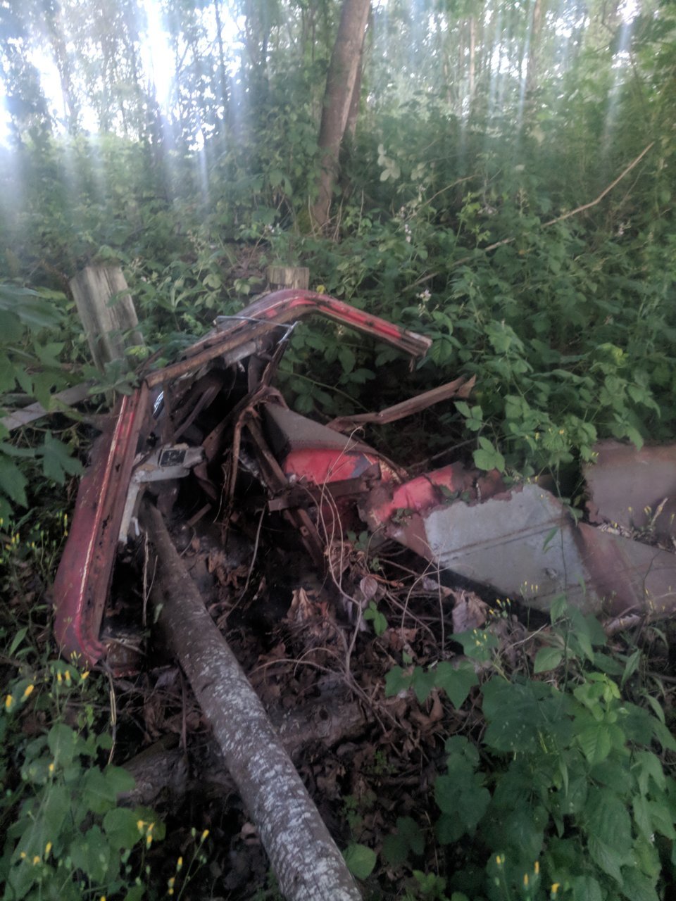 IMG_20180626_210904.jpg