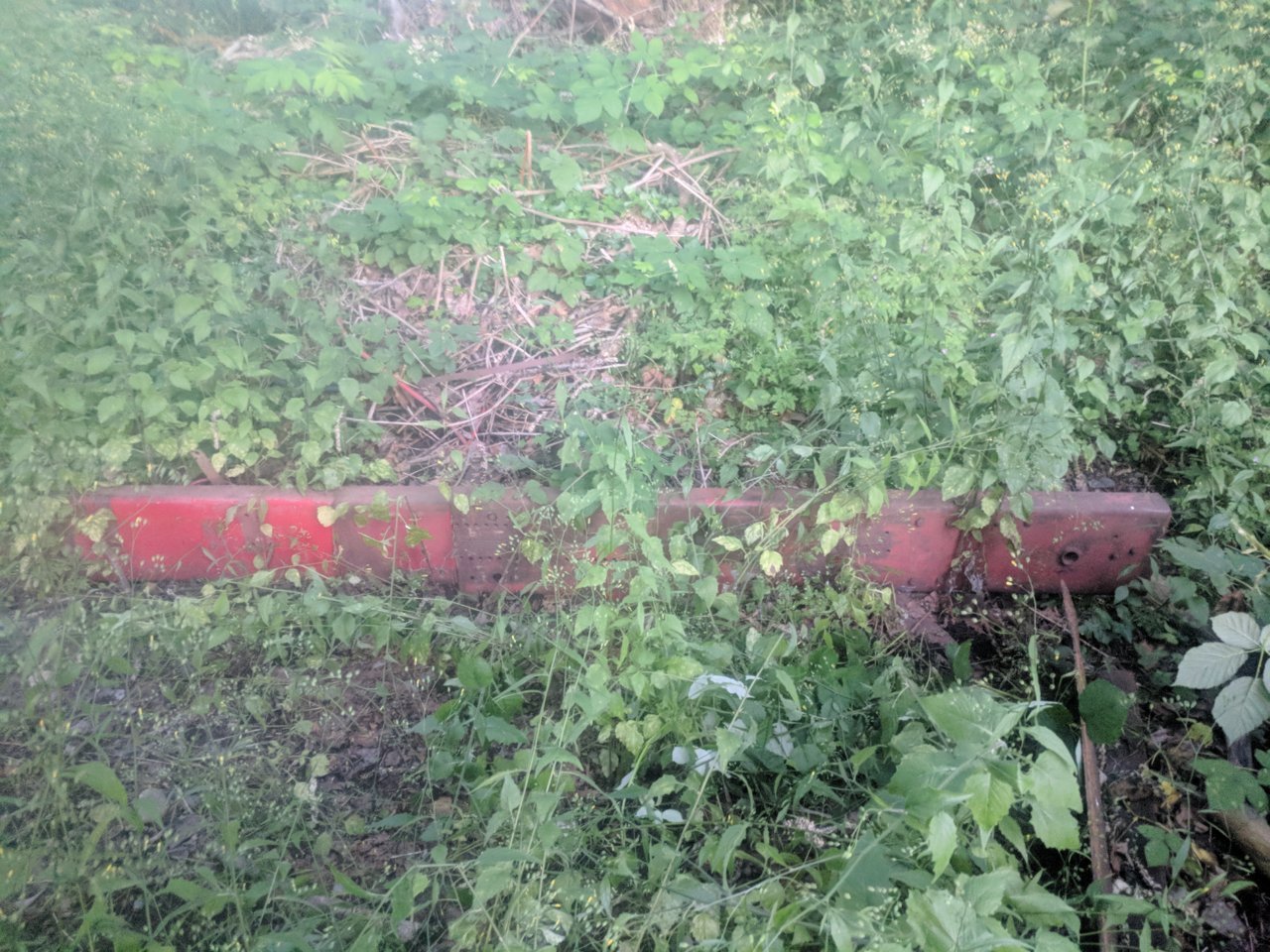 IMG_20180626_211000.jpg