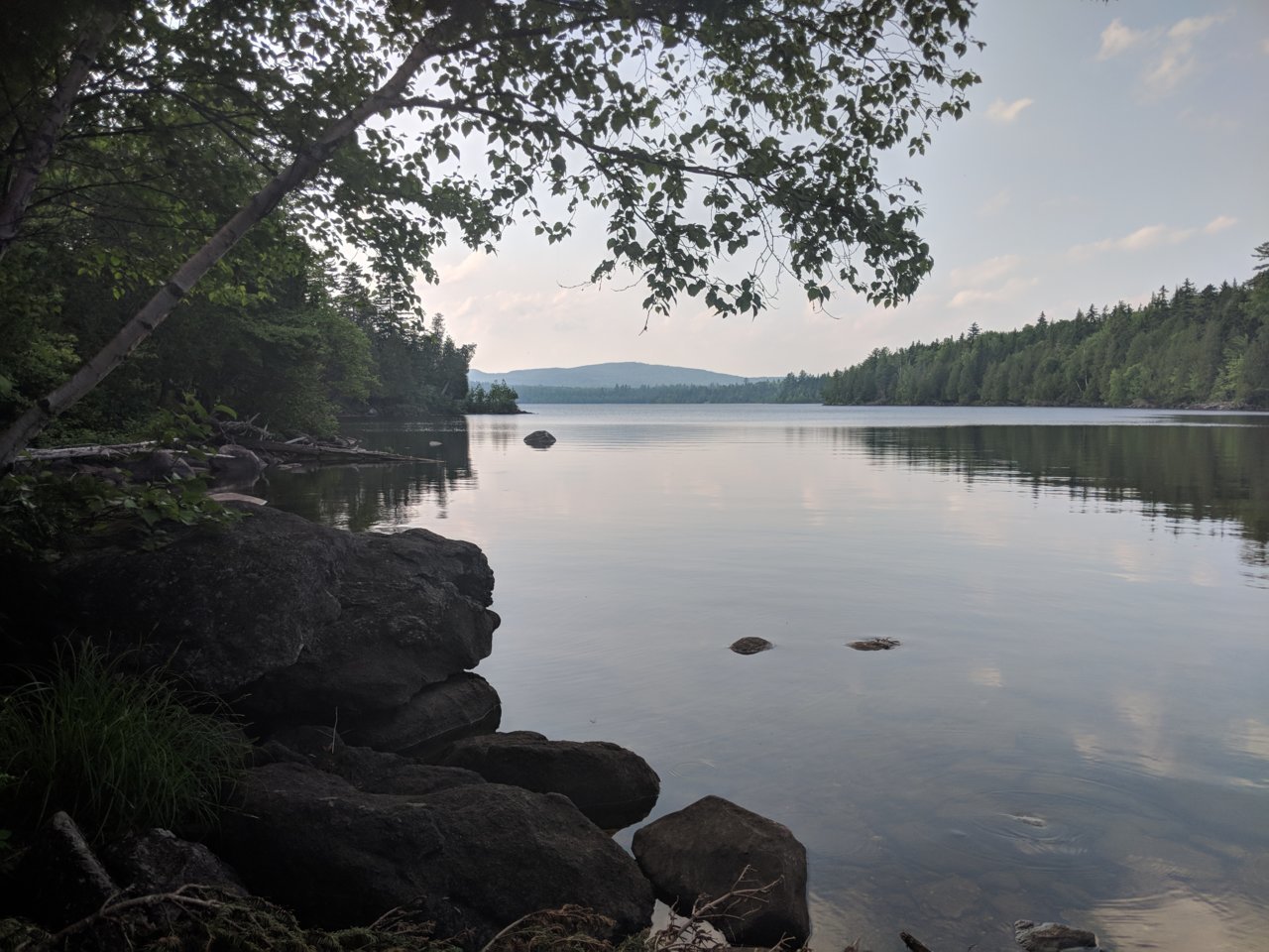 IMG_20180702_175450.jpg