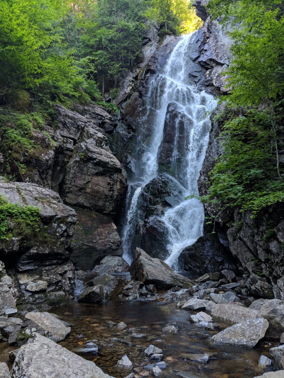 IMG_20180703_173023.jpg