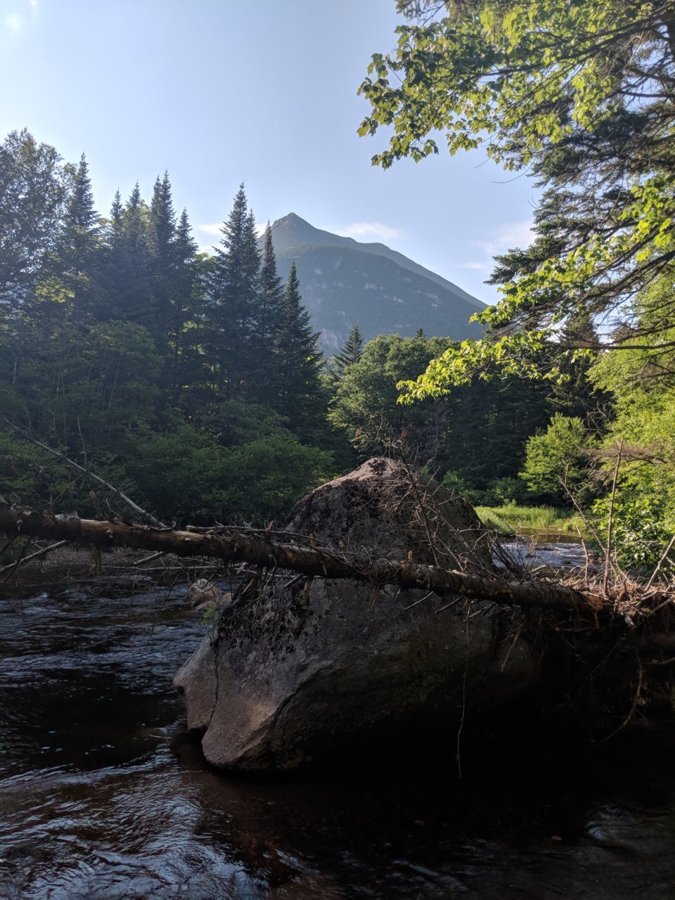 IMG_20180705_171409.jpg
