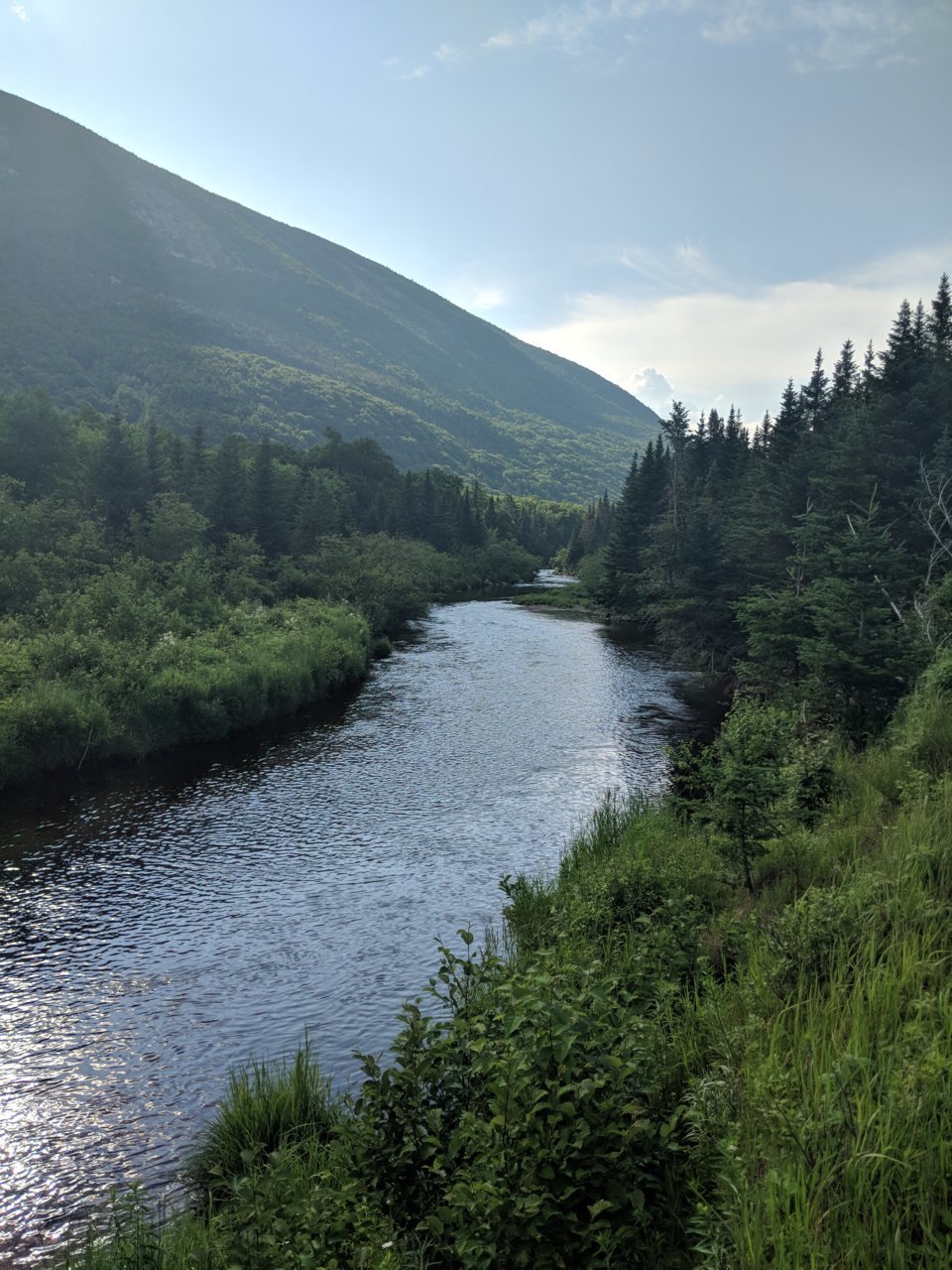 IMG_20180705_172305.jpg