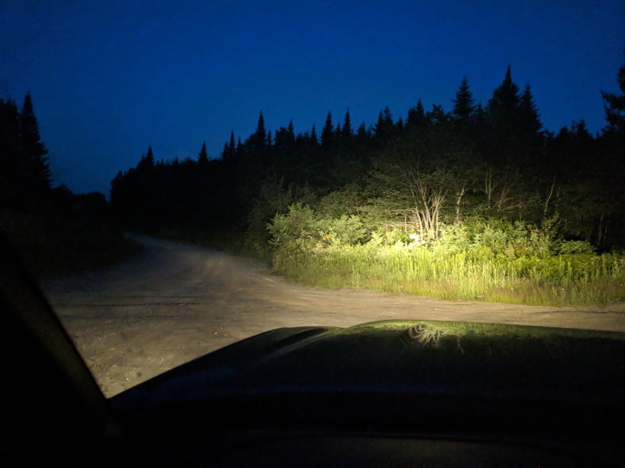 IMG_20180705_211943.jpg