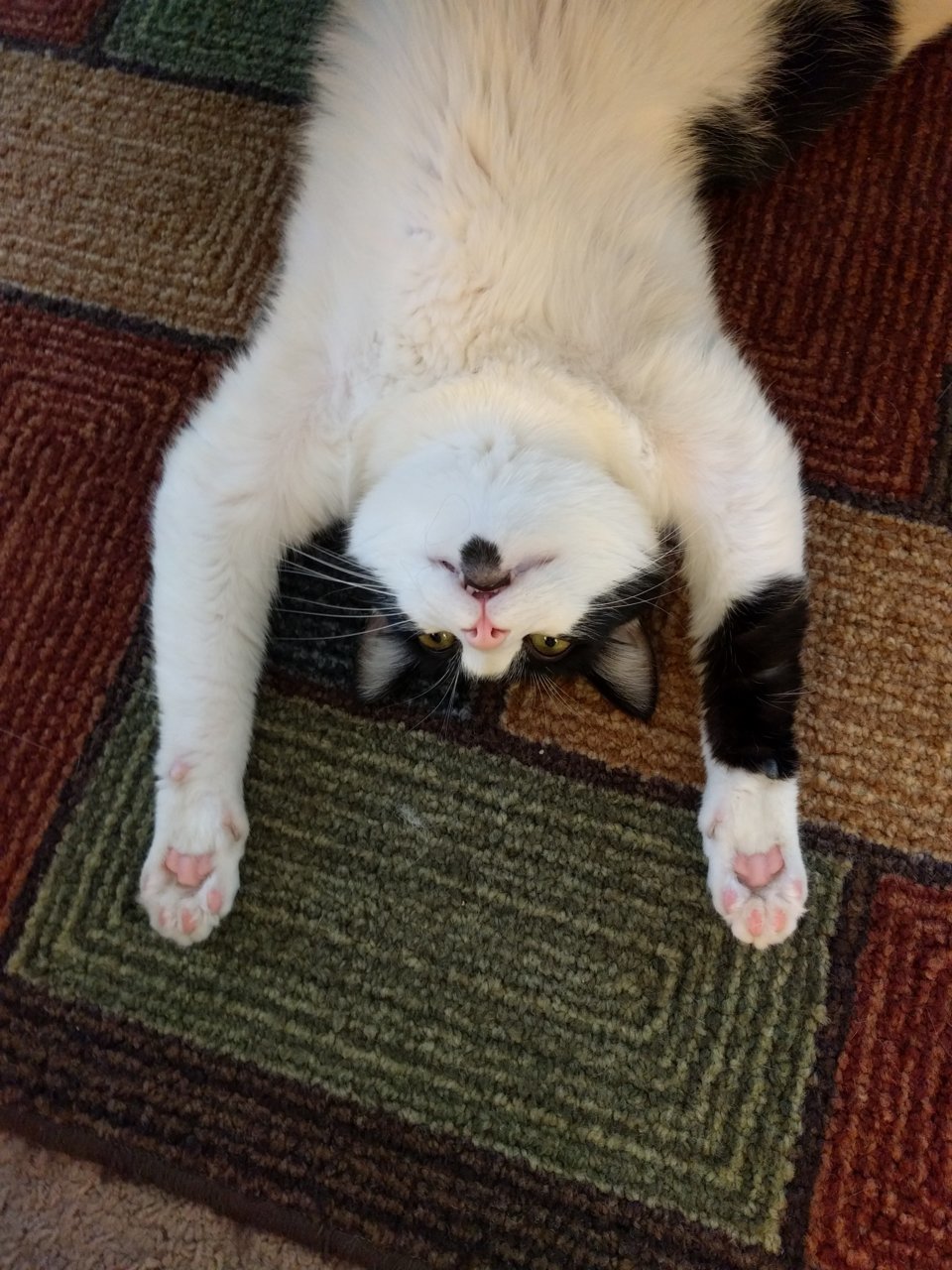 IMG_20180707_150956.jpg