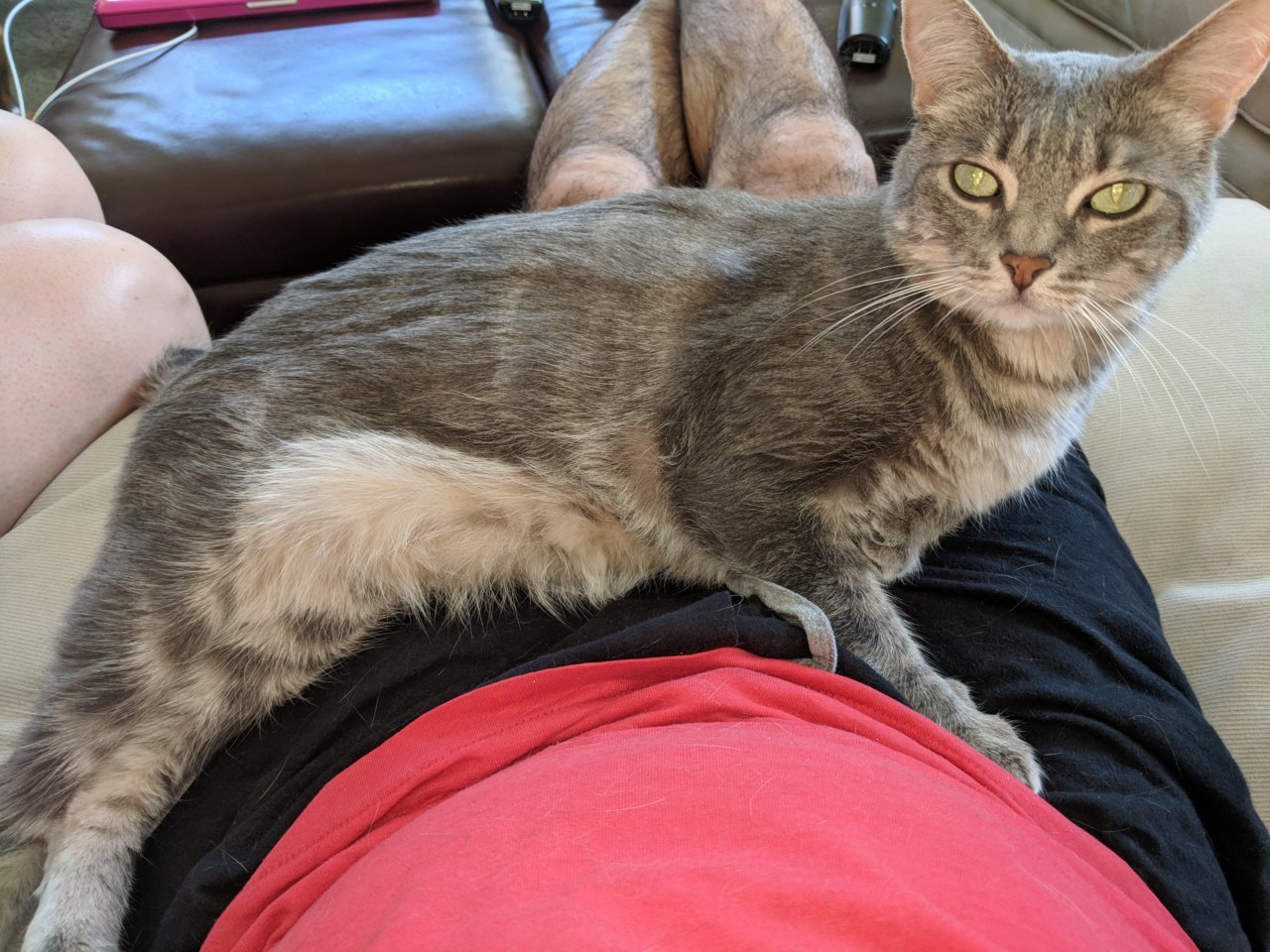 IMG_20180708_103310.jpg