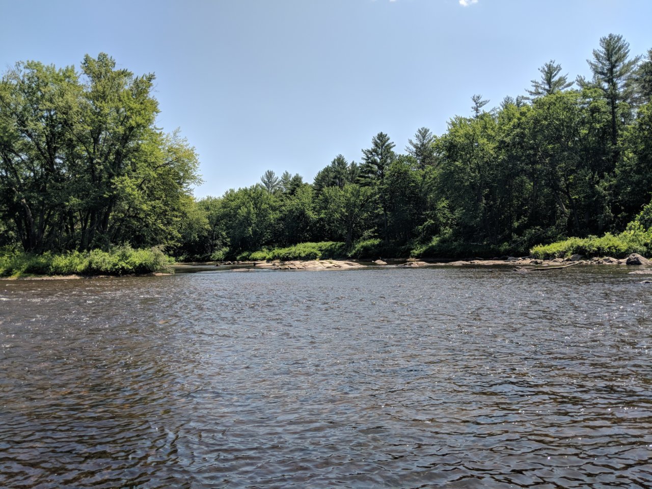 IMG_20180713_131142.jpg