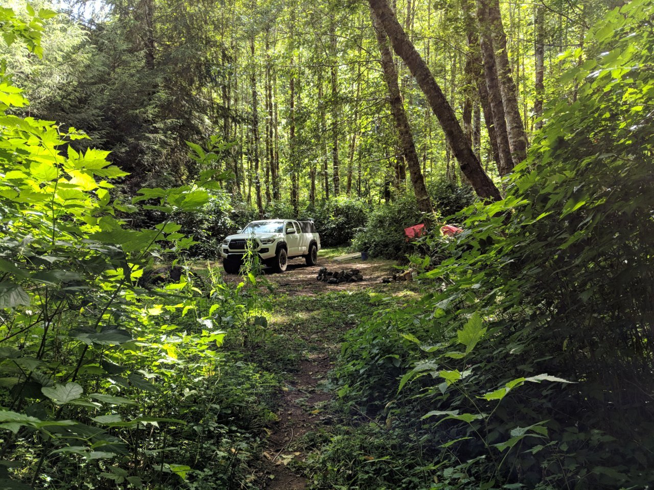 IMG_20180713_152732.jpg