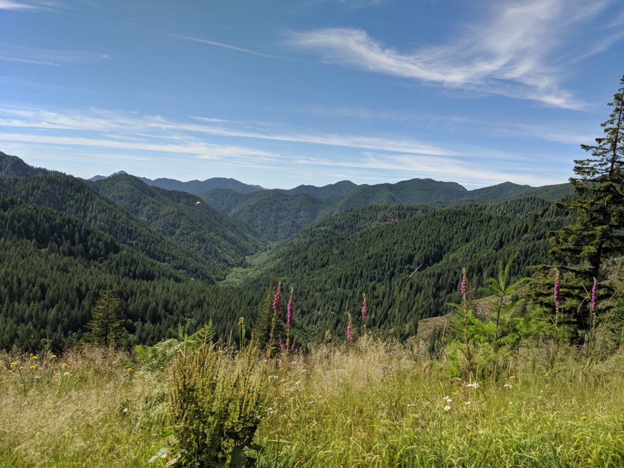IMG_20180713_162218.jpg