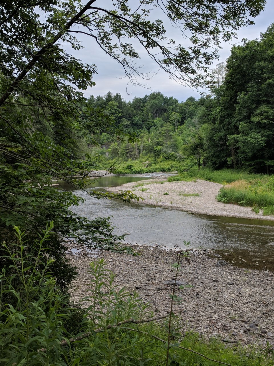 IMG_20180714_103546.jpg