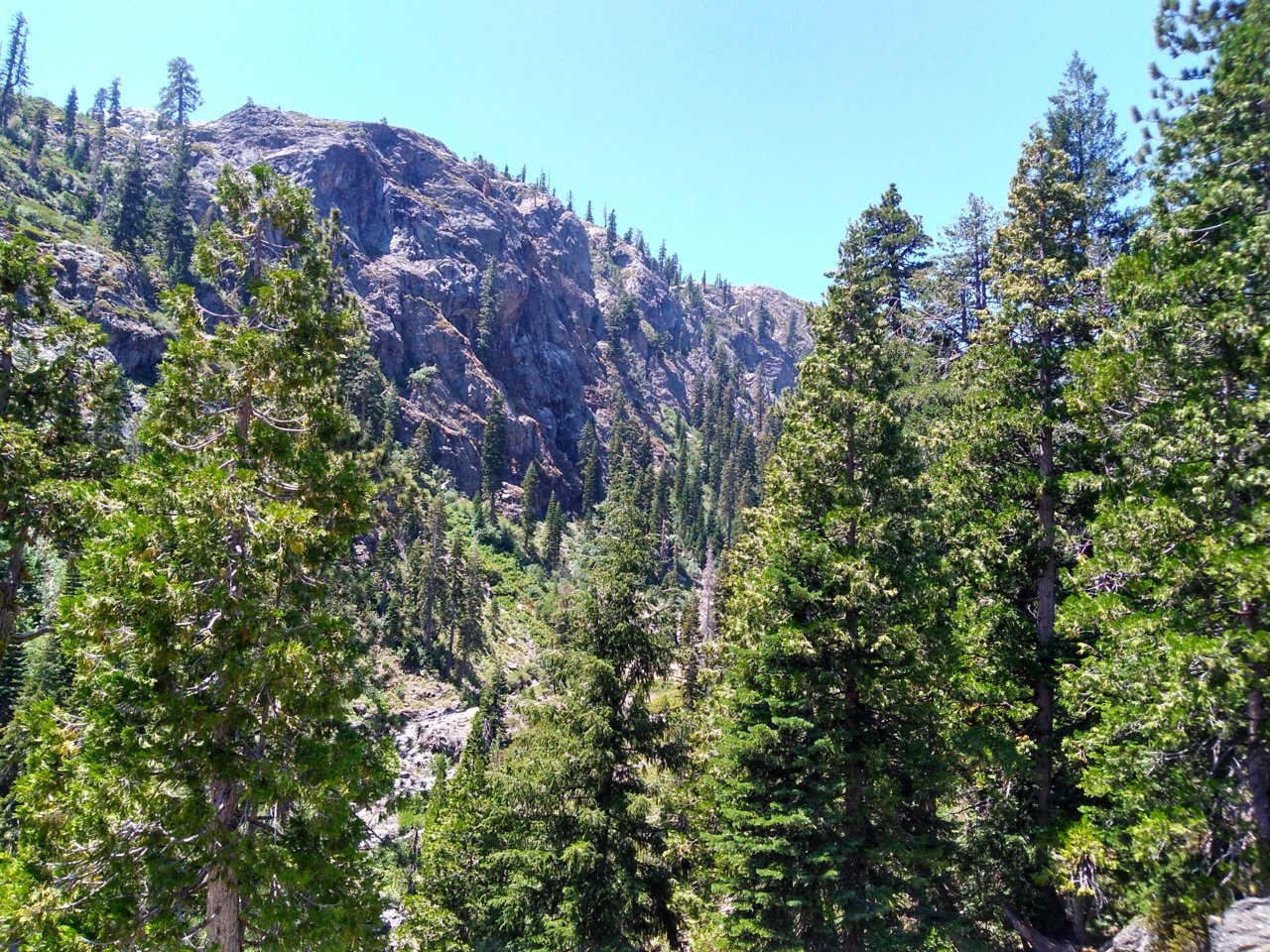 IMG_20180714_123331255_HDR.jpg