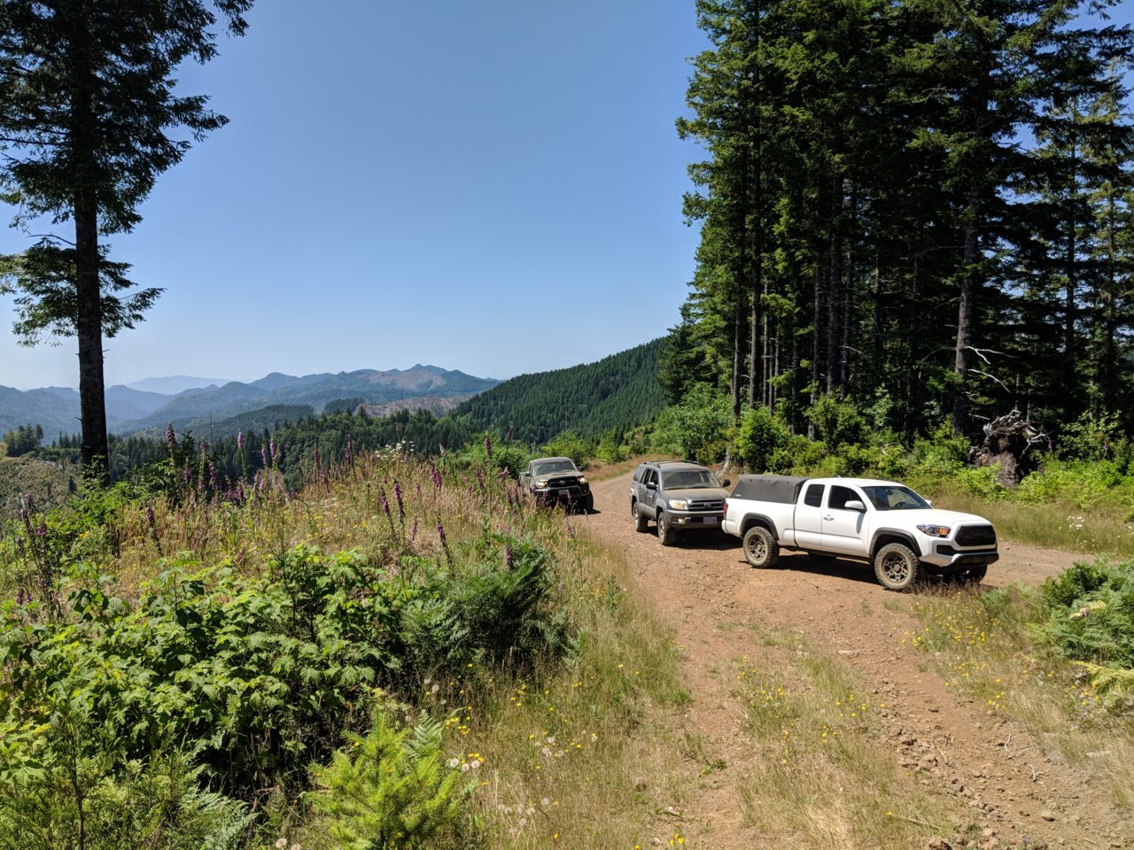 IMG_20180715_131135.jpg