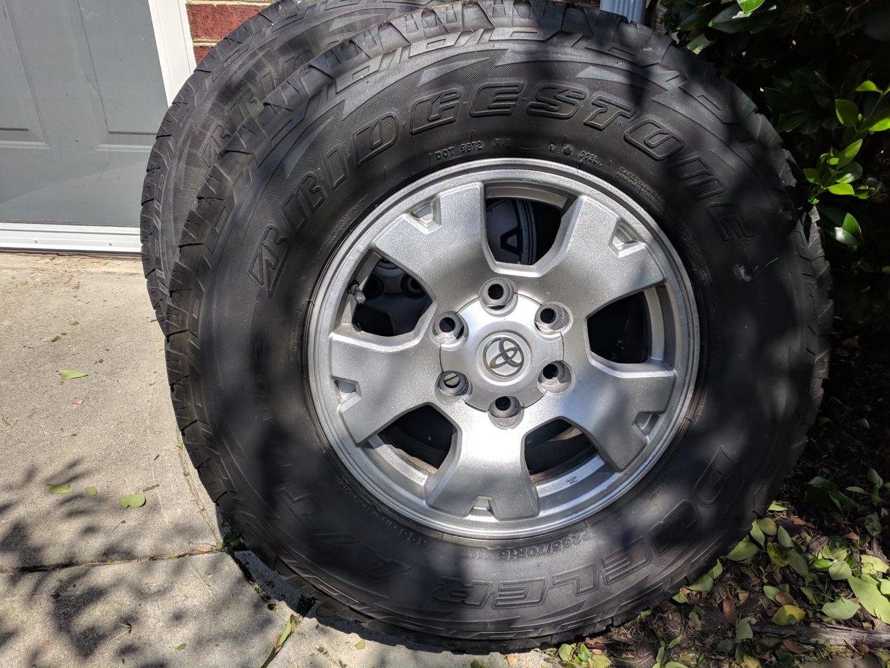 IMG_20180722_114916.jpg