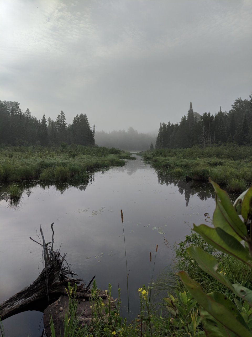 IMG_20180808_073648.jpg