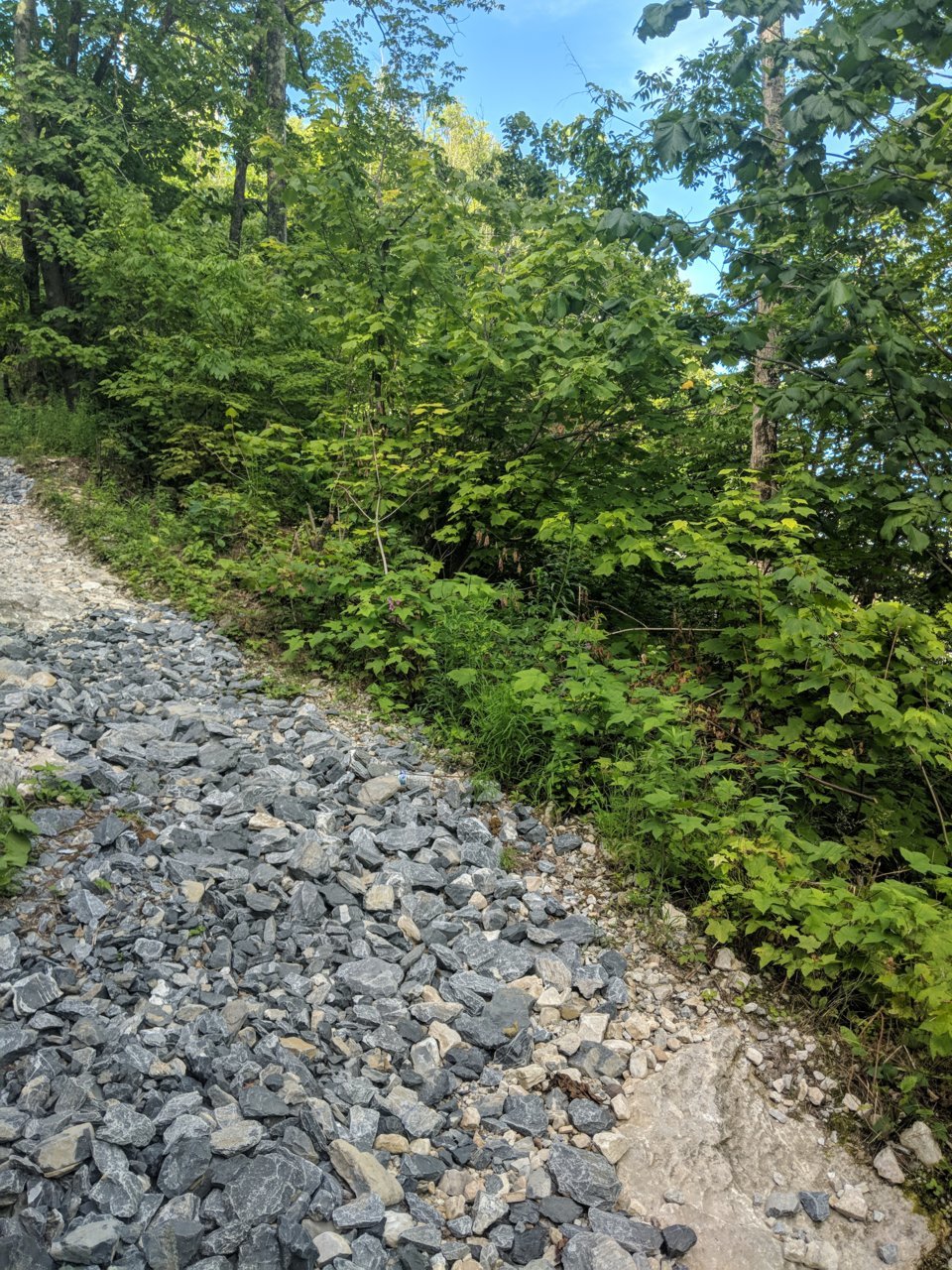 IMG_20180810_160839.jpg