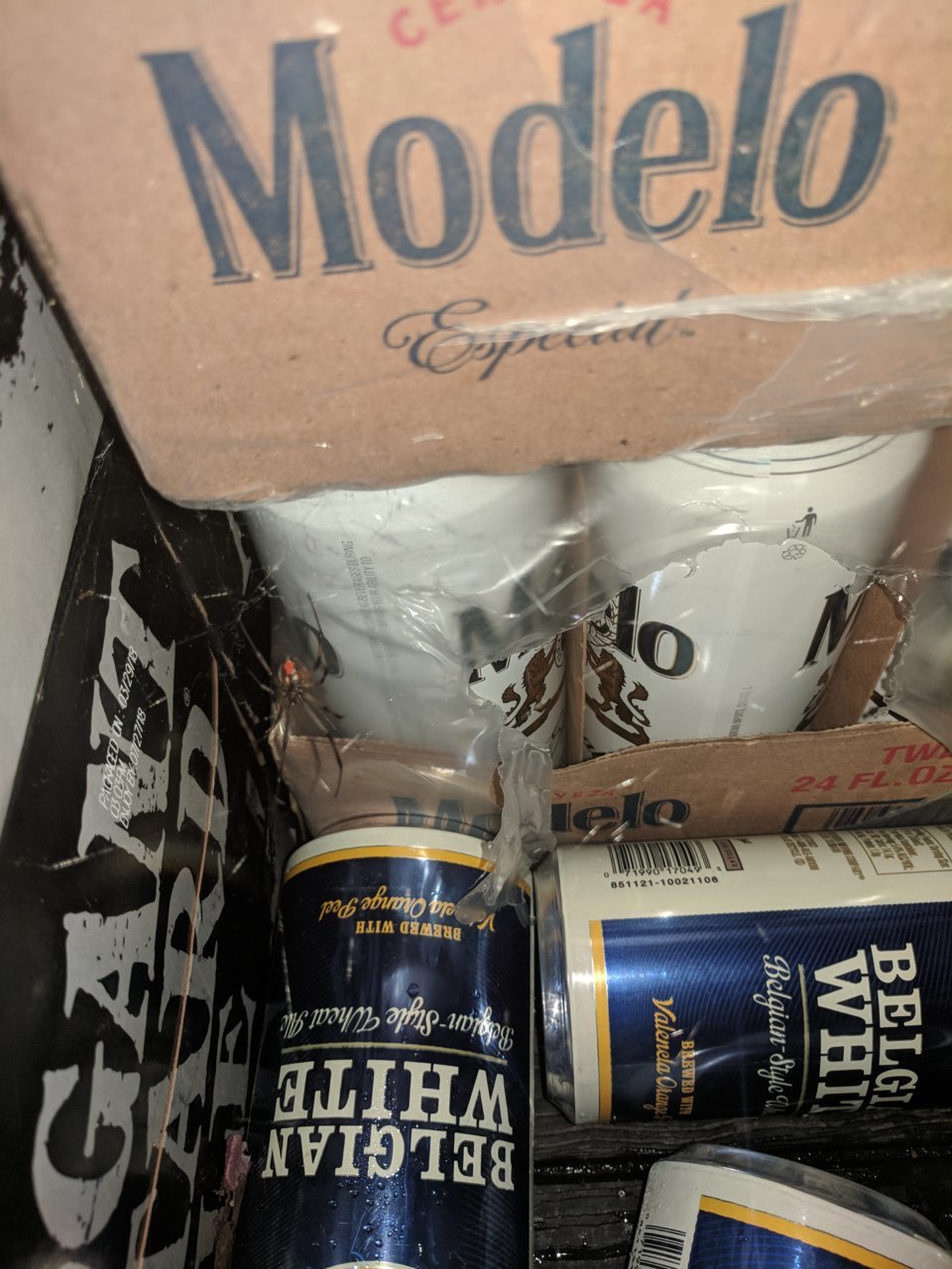 IMG_20180811_225302.jpg