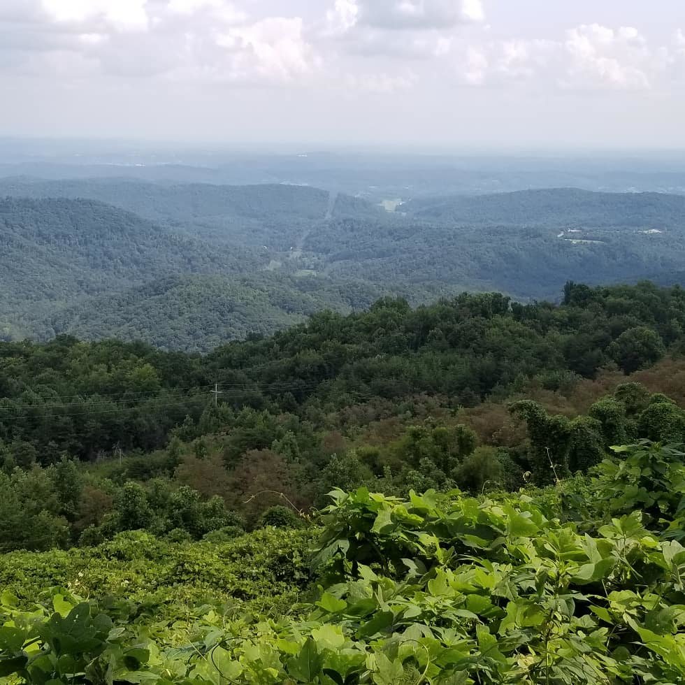 IMG_20180813_170322_669.jpg