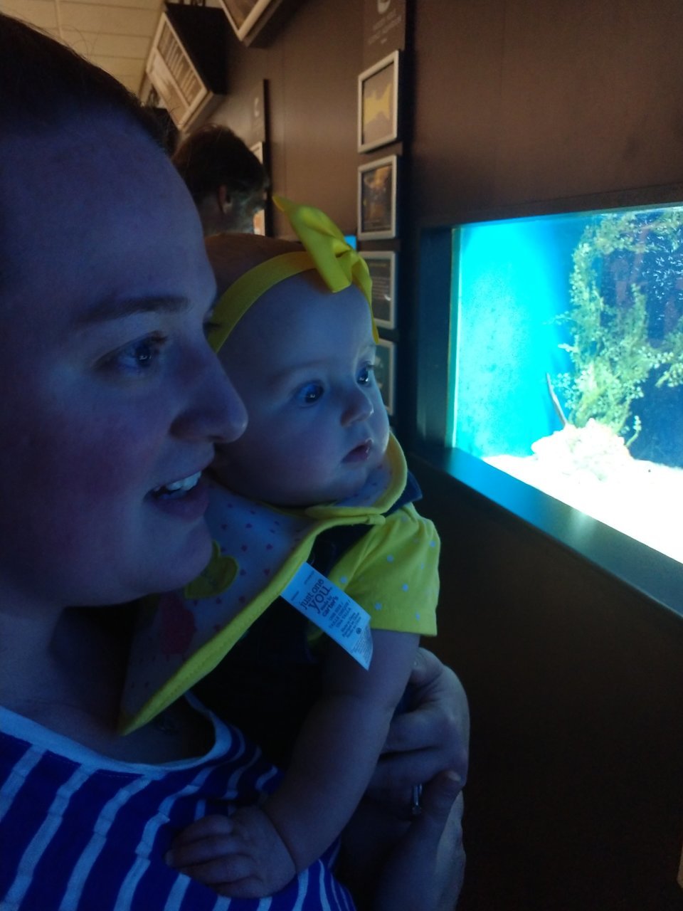 IMG_20180818_122814436.jpg